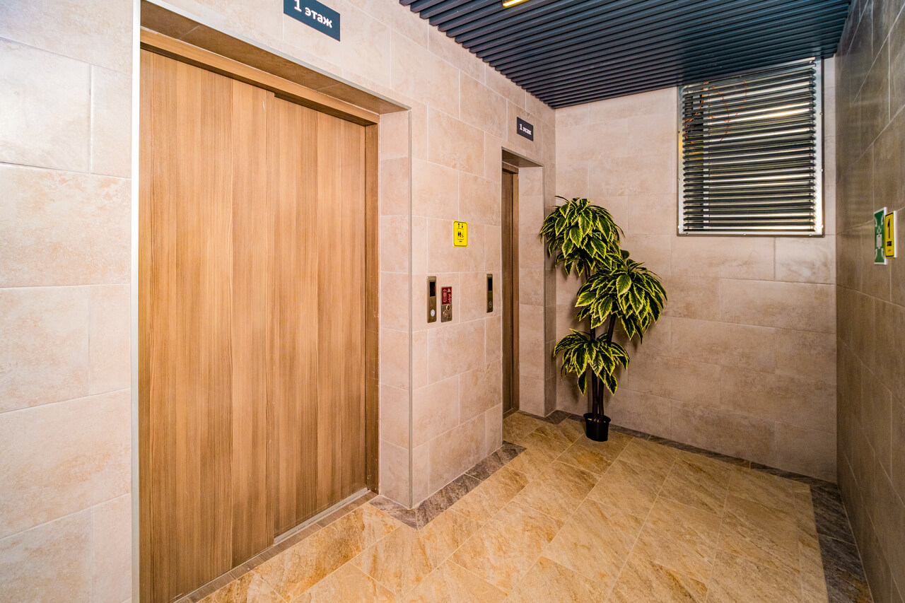 Горгиппия 10