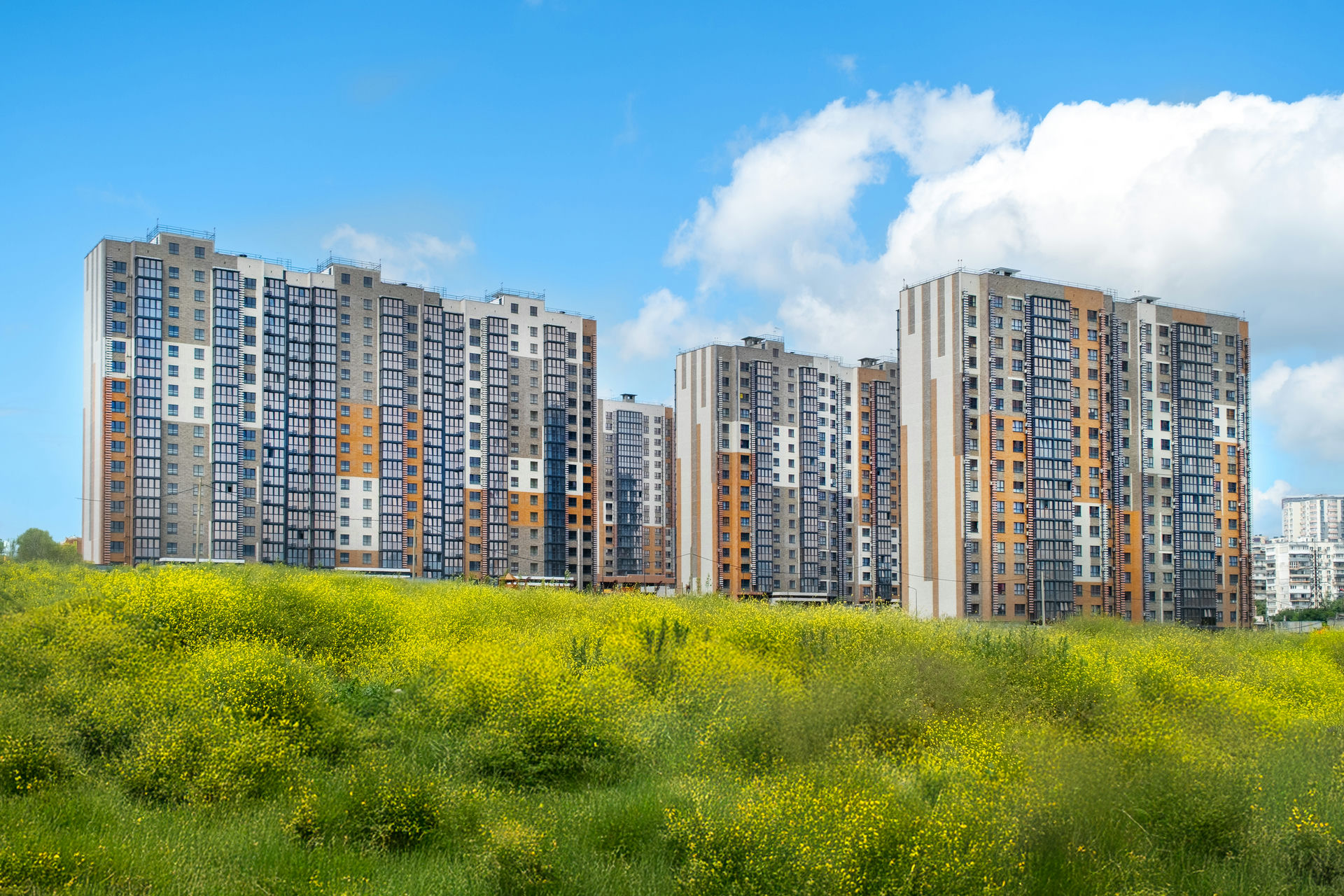 Город у моря 5