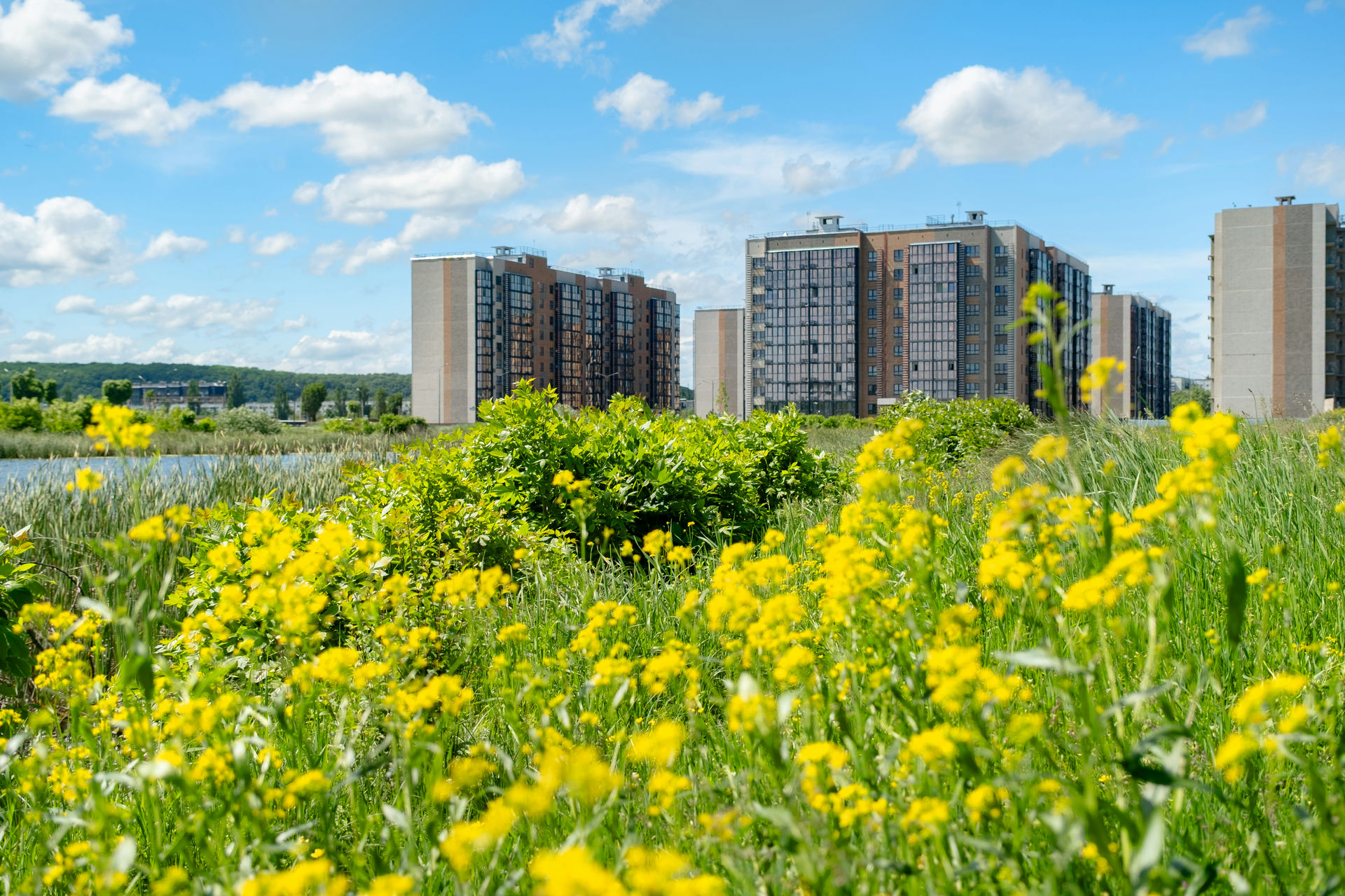 Предгорье Лаго-Наки 4