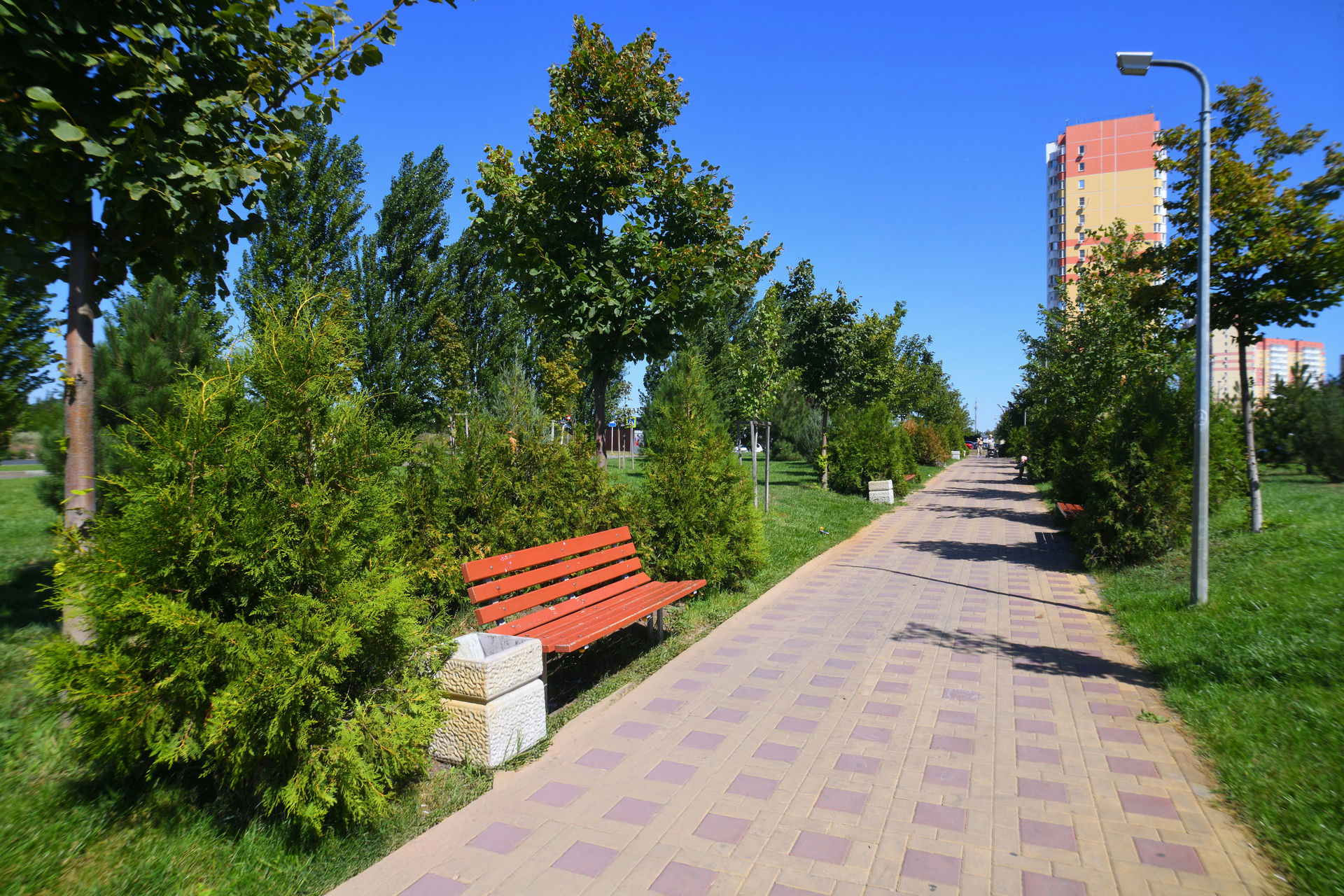 Платовский 4