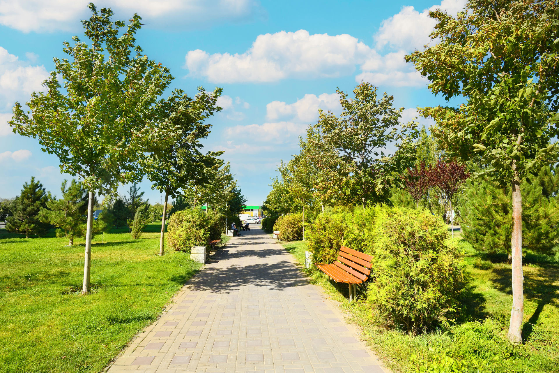 Платовский 5