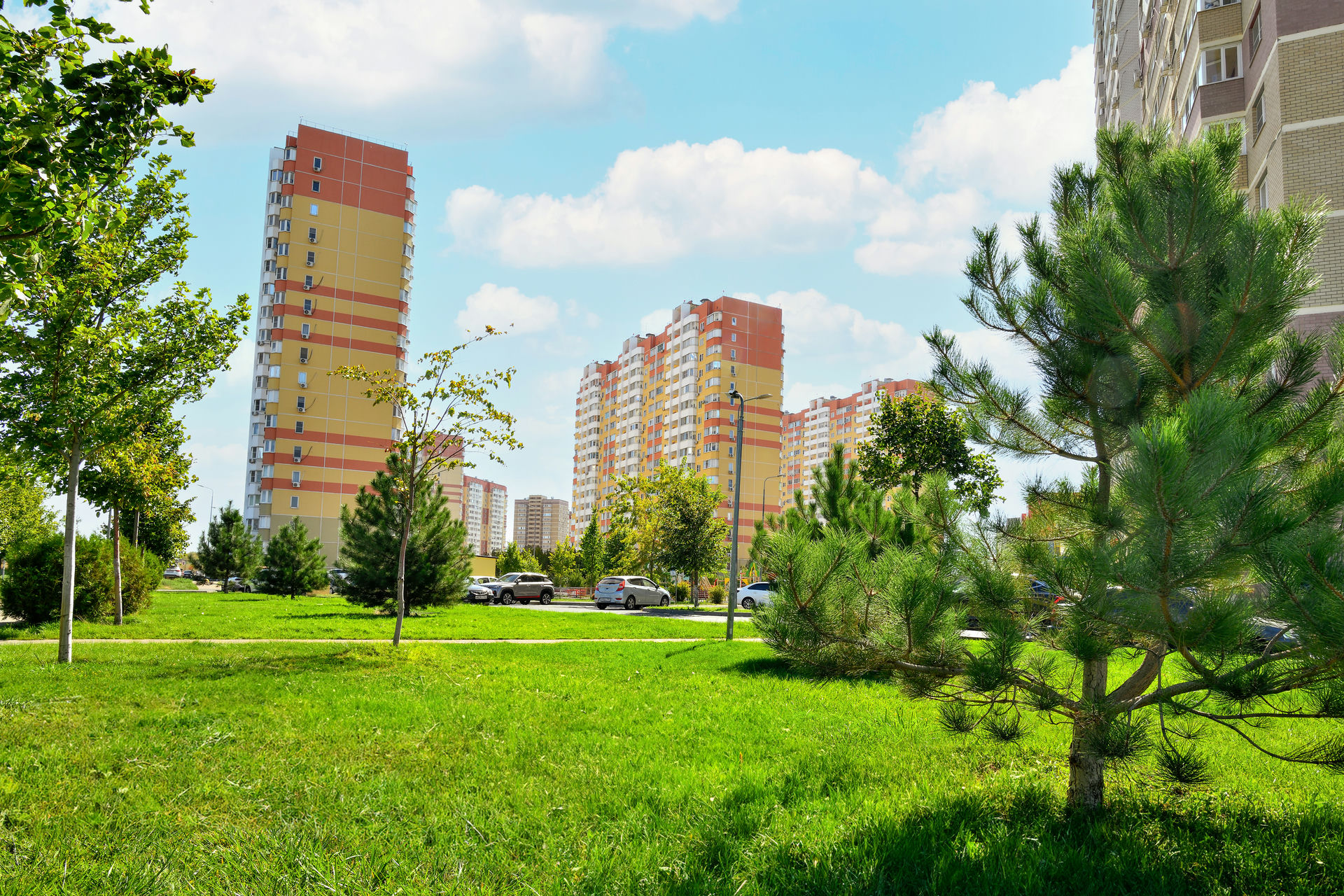 Платовский 7